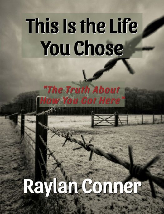 This Is The Life You Chose - 773x1000 website